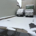 雪、再び