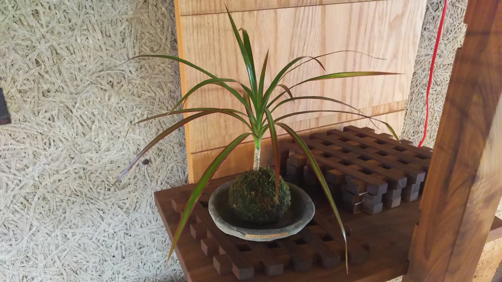 こけ玉