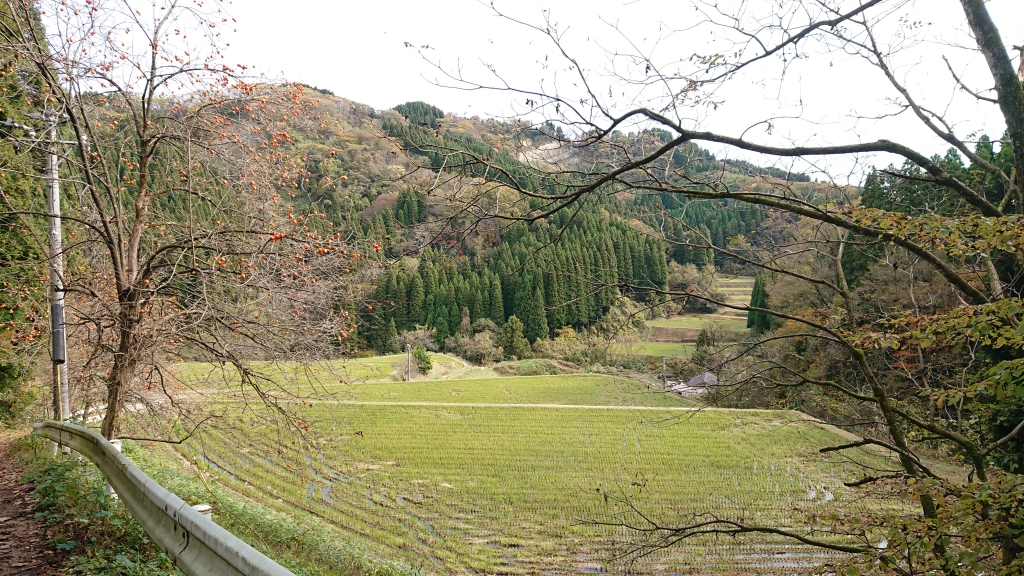 配送