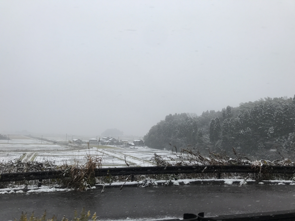 初雪、初観