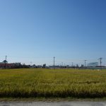 誓い～2019秋、大川～