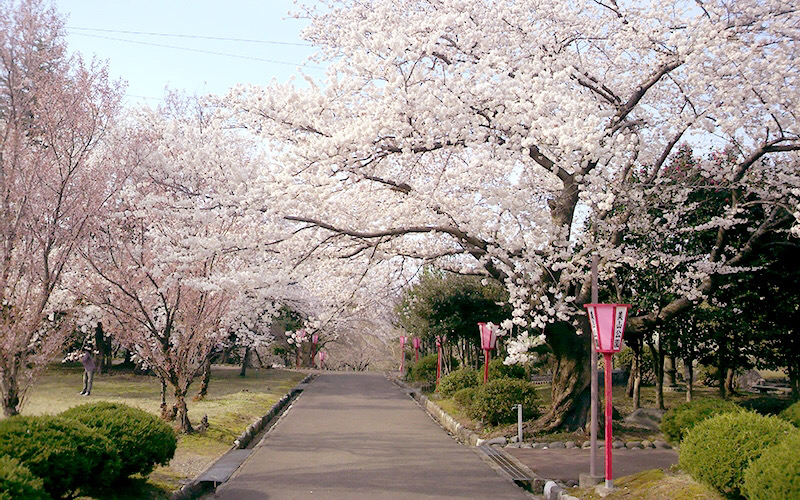 お引越ししてきました。