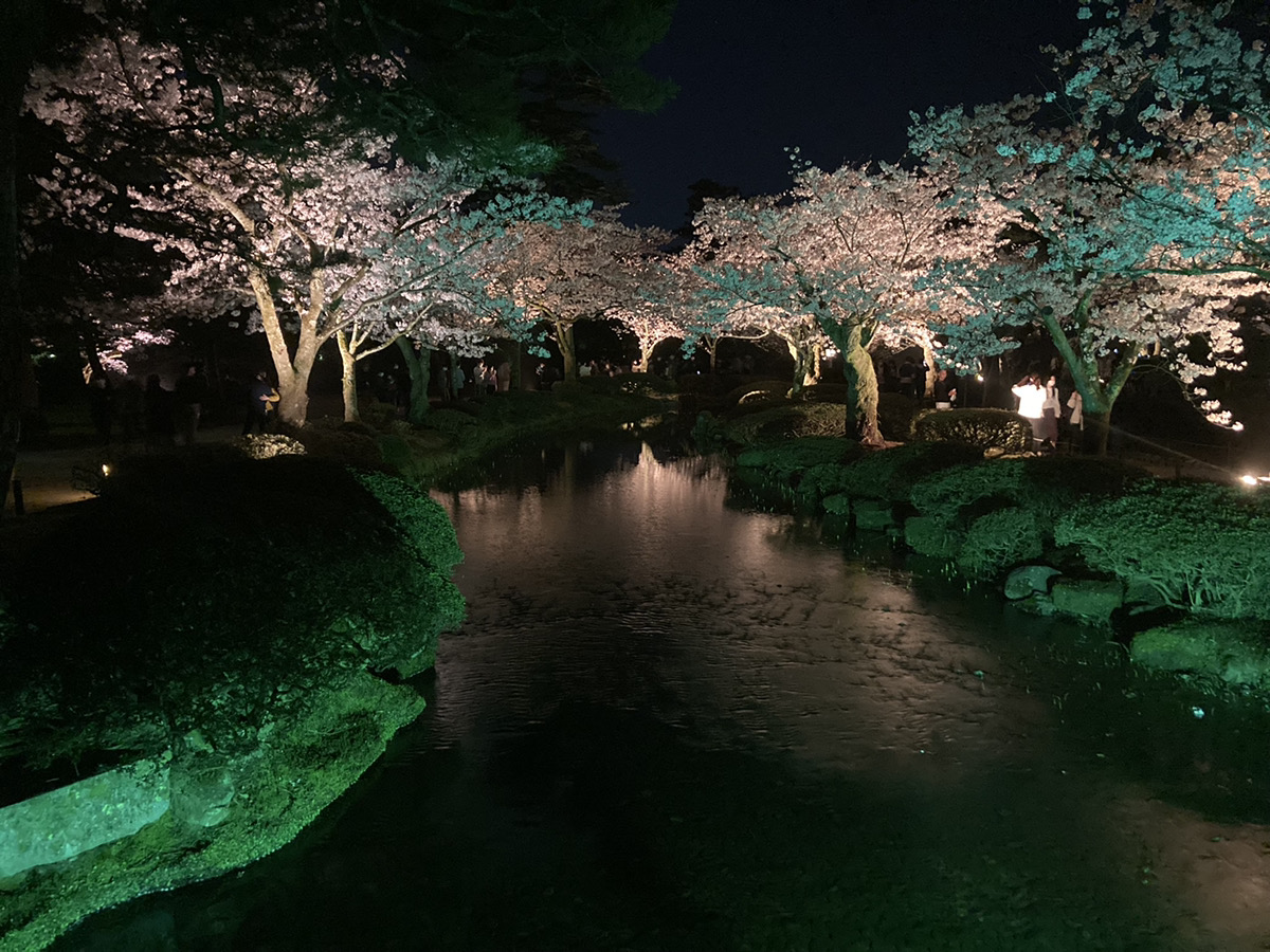 SOLID 金沢 富山 桜