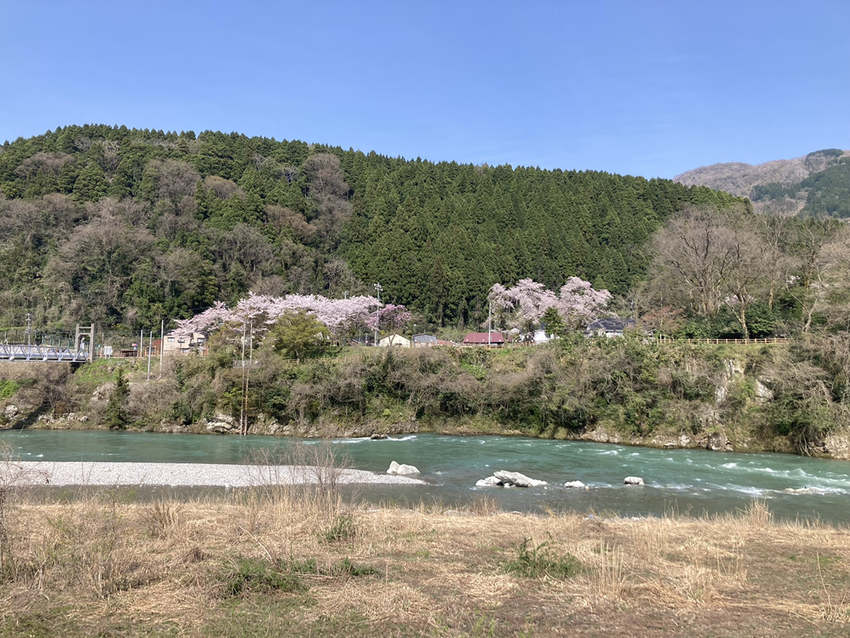 SOLID 金沢 富山 配送