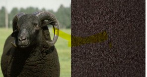 ウールラグ　ミヤモト家具　SOLID富山　ラグマット　絨毯　羊