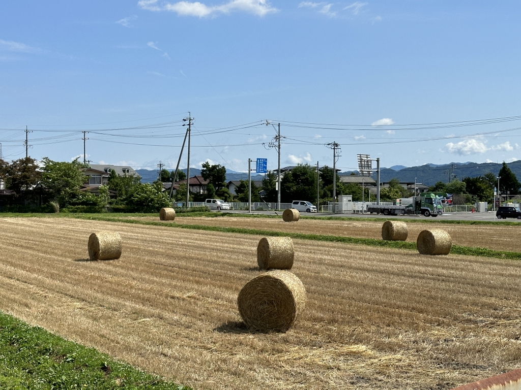 富山　伊豆　家具　おしゃれ　おすすめ