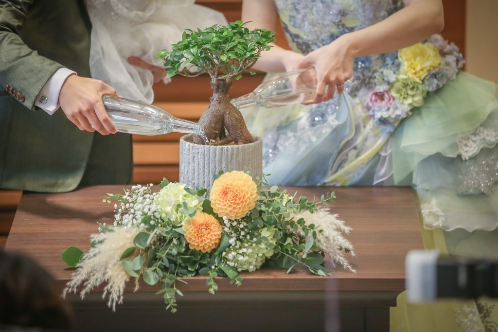 富山　家具　おしゃれ　観葉植物