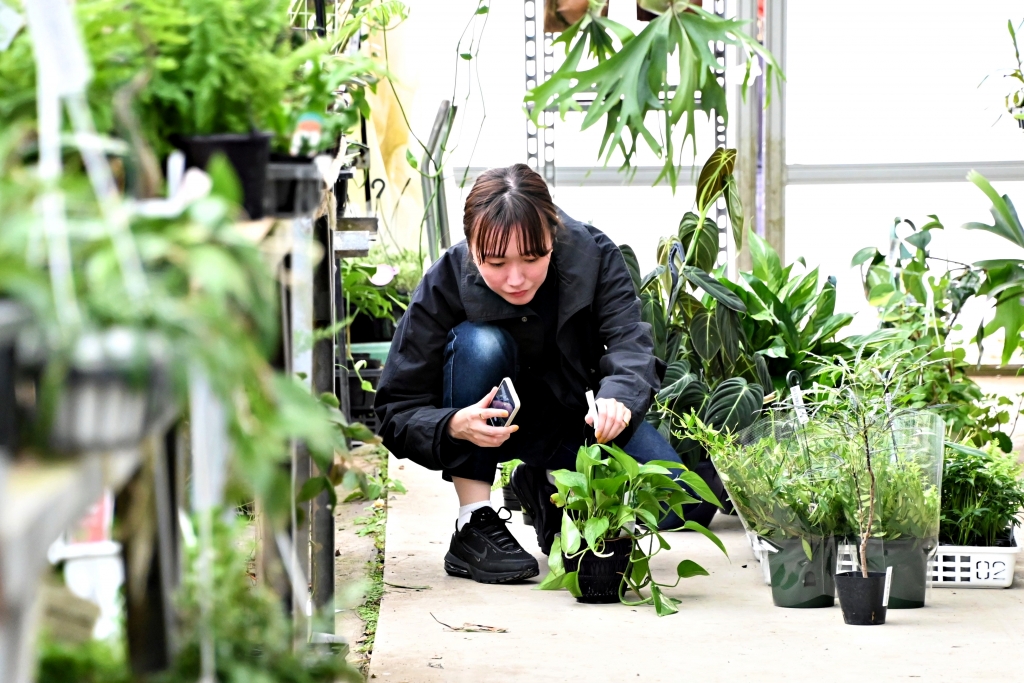 富山　金沢　植物　おすすめ