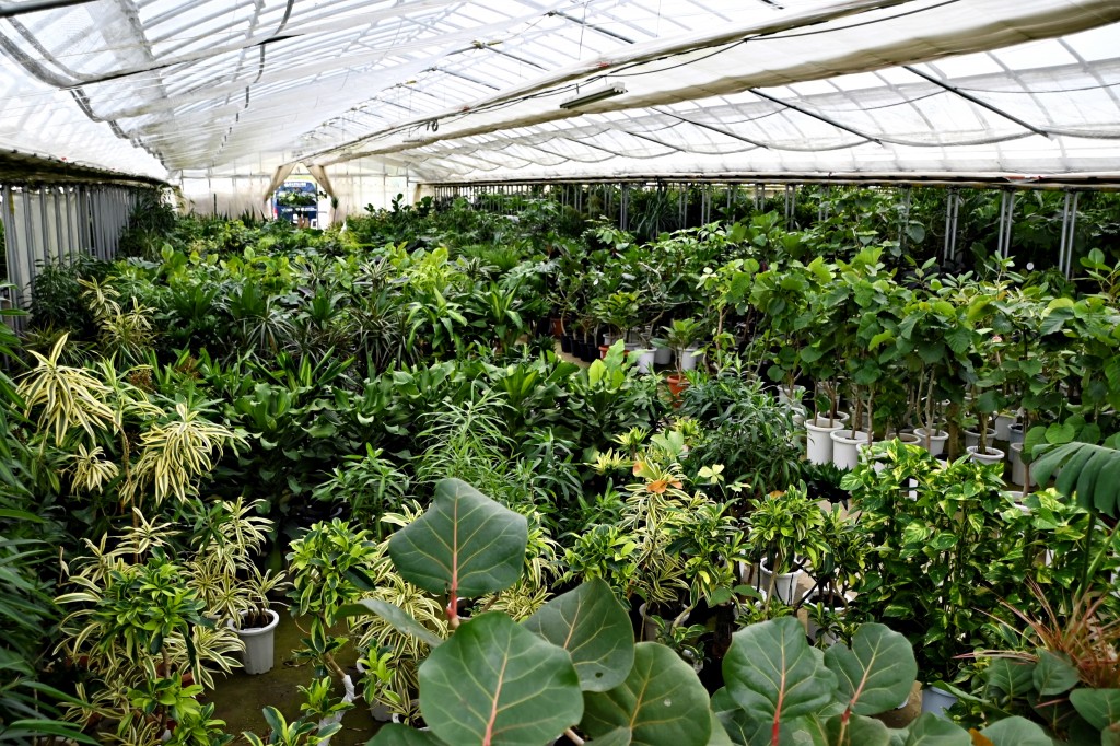 富山　金沢　植物　おすすめ