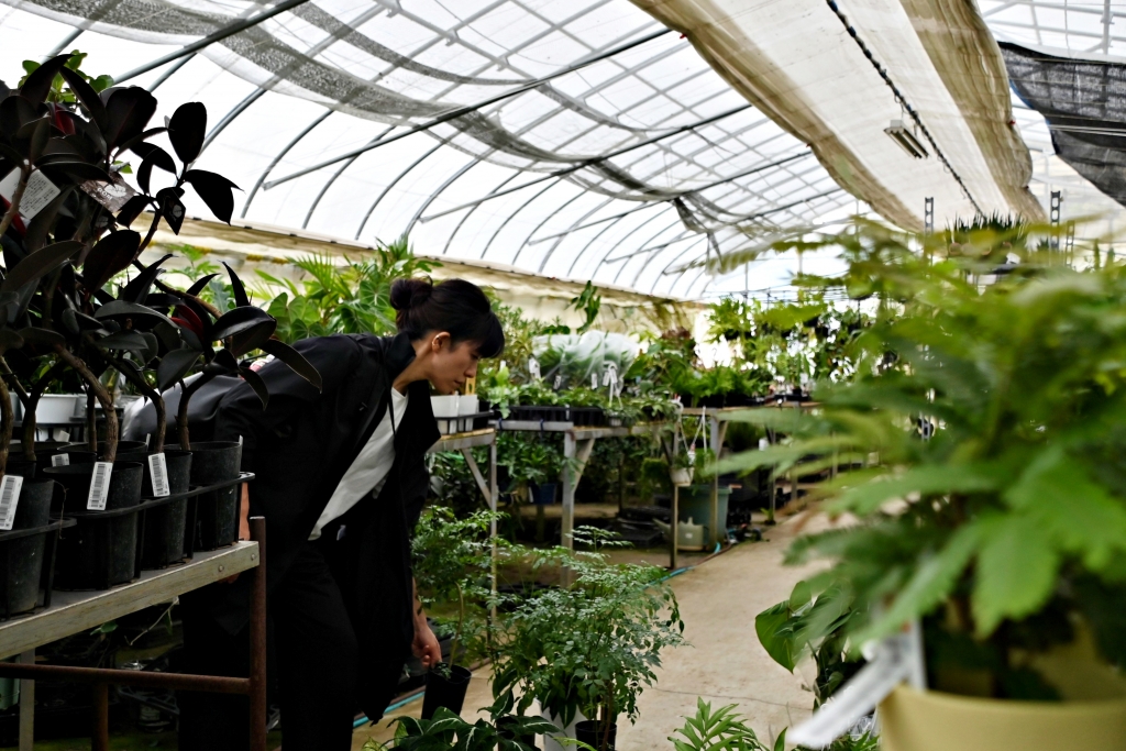 富山　金沢　植物　おすすめ