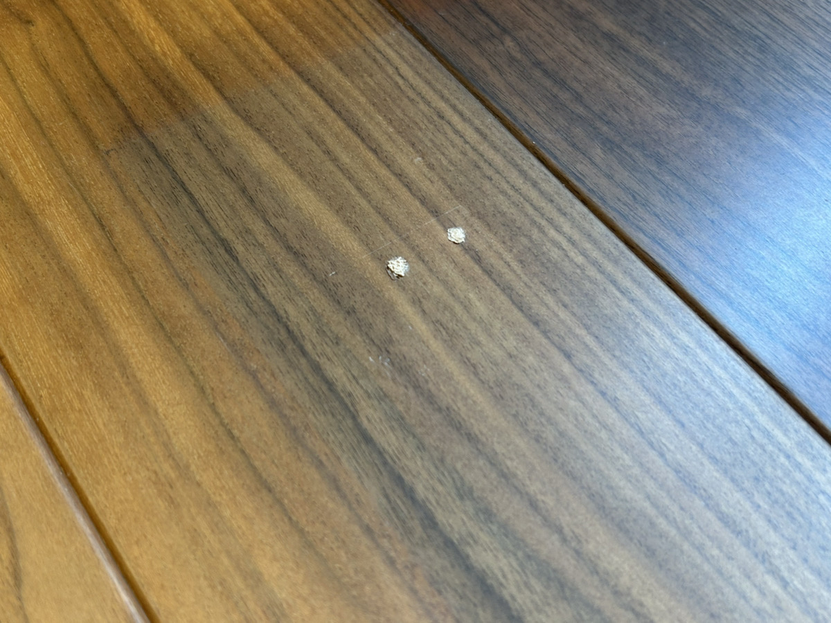 金沢　家具　ソファ　おすすめ　おしゃれ