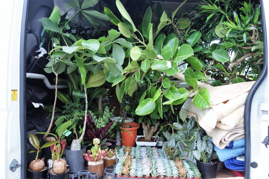 富山　家具　観葉植物　イベント
