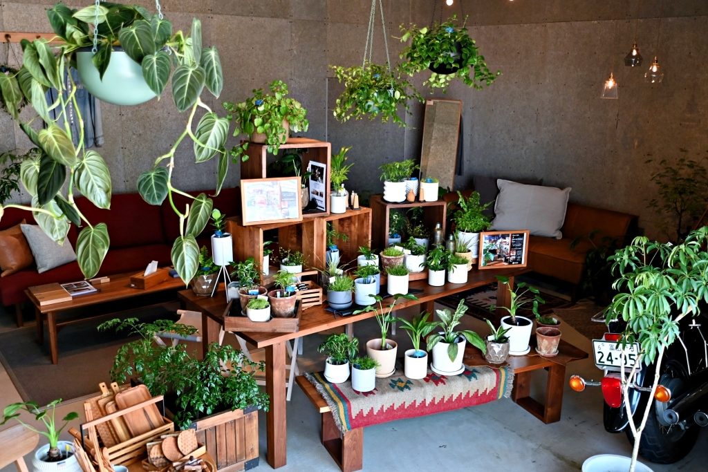 富山　家具　観葉植物　イベント