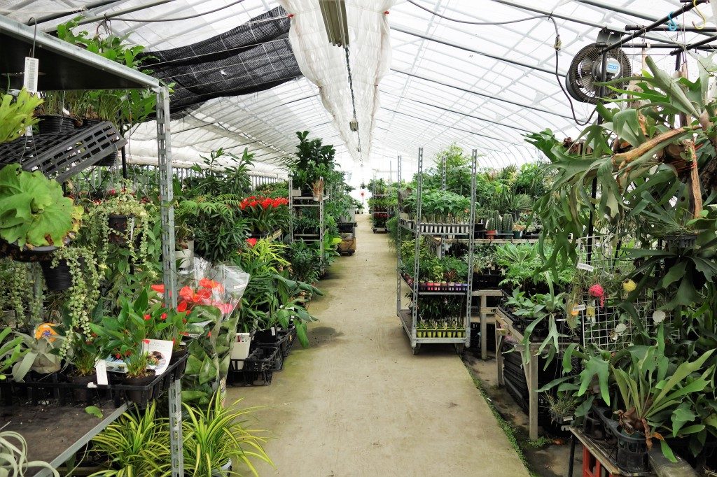 富山　家具　観葉植物　イベント
