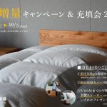 羽毛に包まれる幸せ