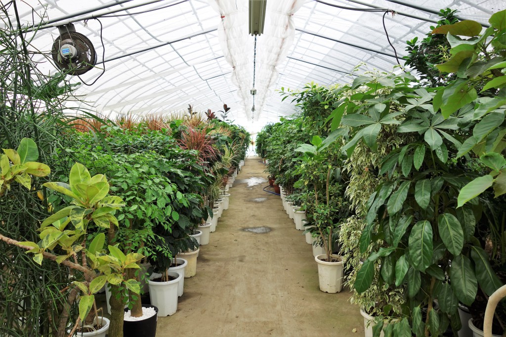 植物が盛り沢山なイベント！