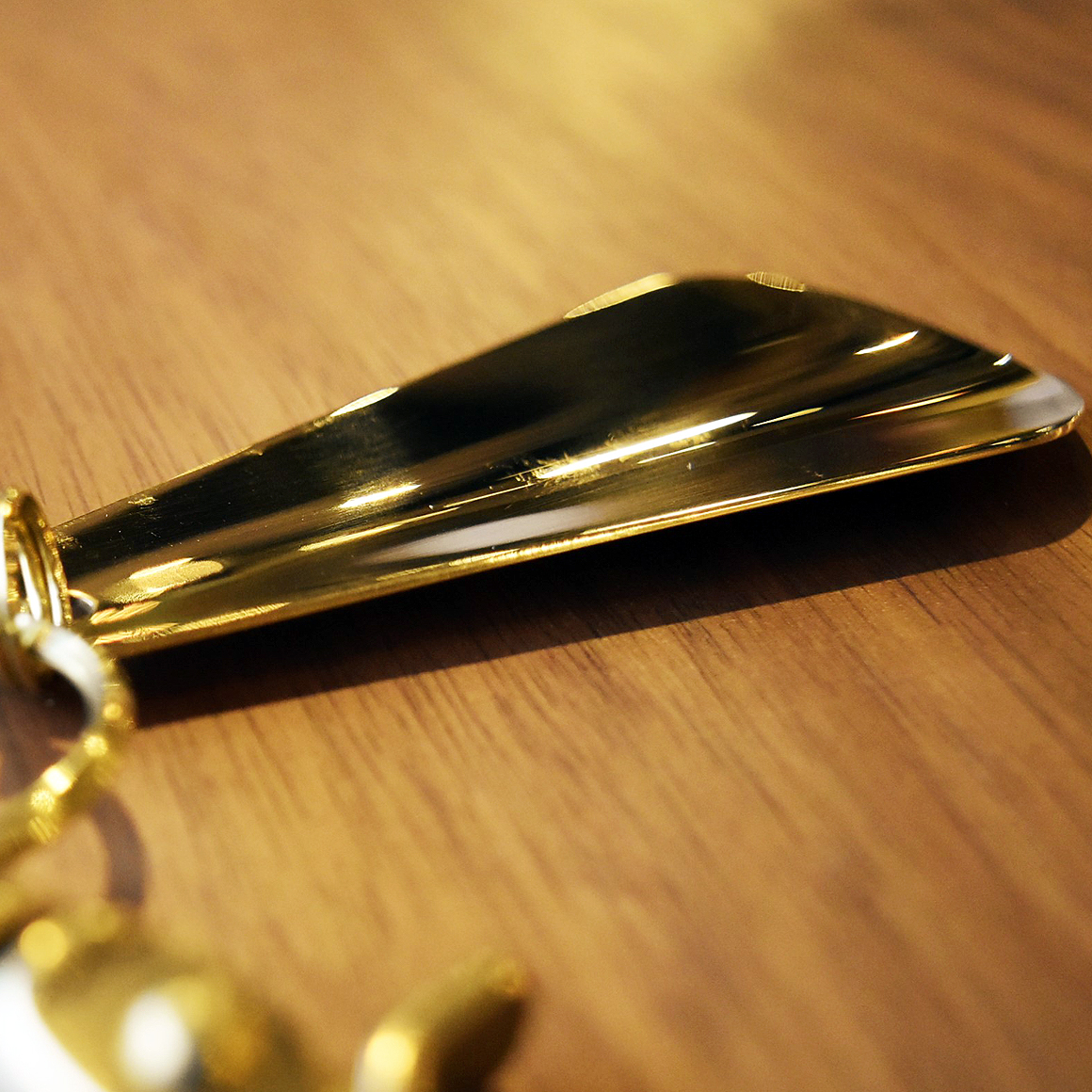 brass-shoehorn