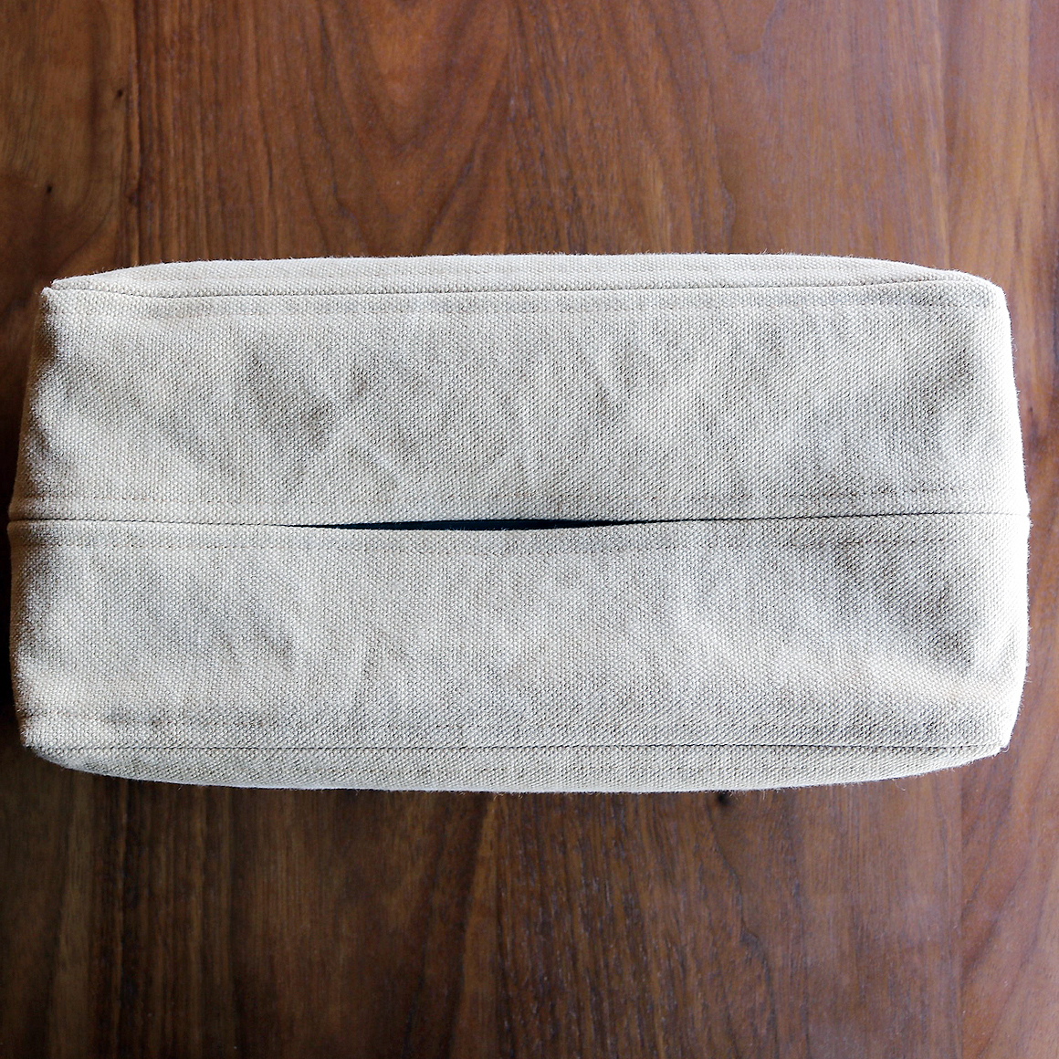 canvas-tissue-case